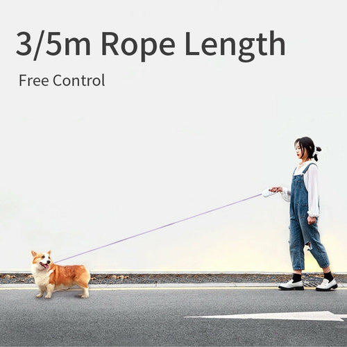 Laisse Rétractable Lumineuse pour Chien