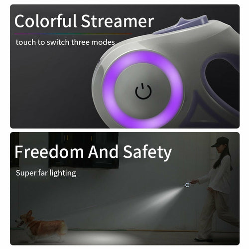Laisse Rétractable Lumineuse pour Chien
