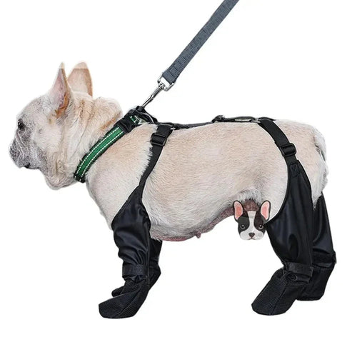Chaussures Imperméables Réglables pour Chien