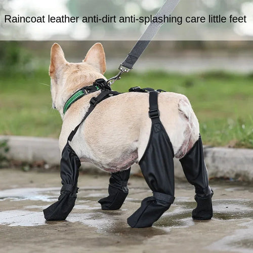 Chaussures Imperméables Réglables pour Chien