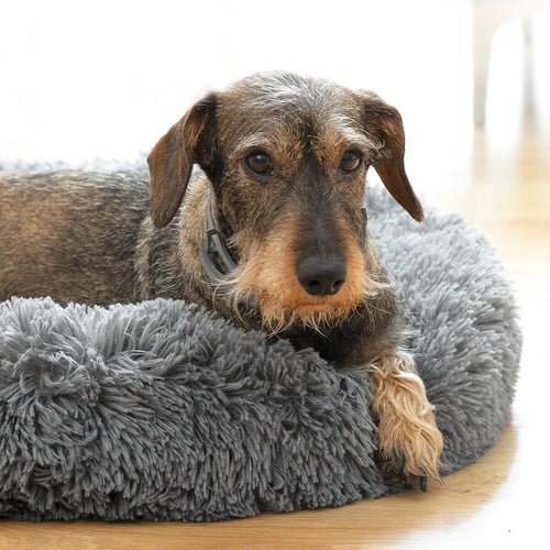 Coussin Anti-stress pour Animaux Ø 60 cm