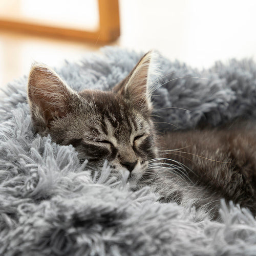Coussin Anti-stress pour Animaux Ø 60 cm